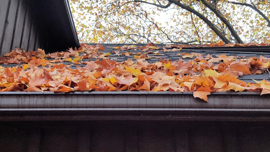 Gutter Cleaning Companies Near Me