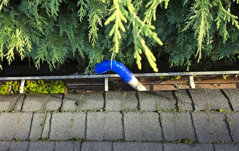 Protect Your Home: Why Moss Removal is Essential in Metro Vancouver