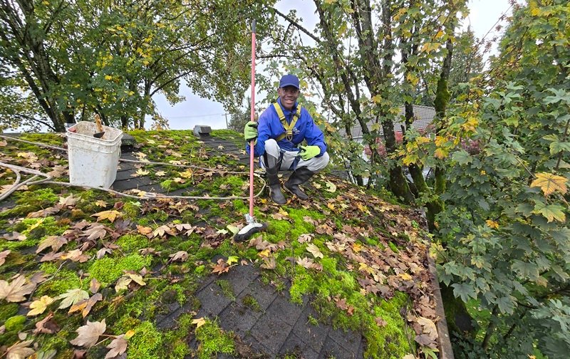 Removing Algae from Rooftop