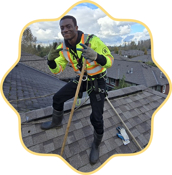 Moss Treatment 7 Moss Roof Cleaning