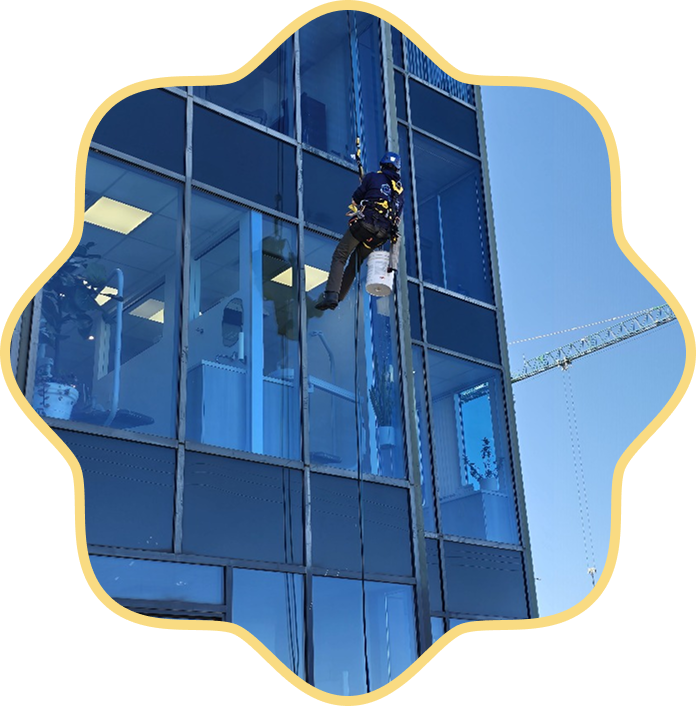 Janitorial Services 7 Vector 15