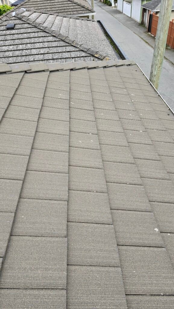 Janitorial Services 2 clean roof