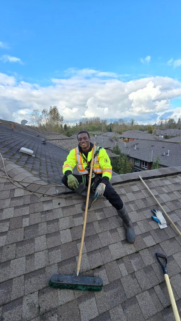 Moss Treatment 6 roof moss treatment